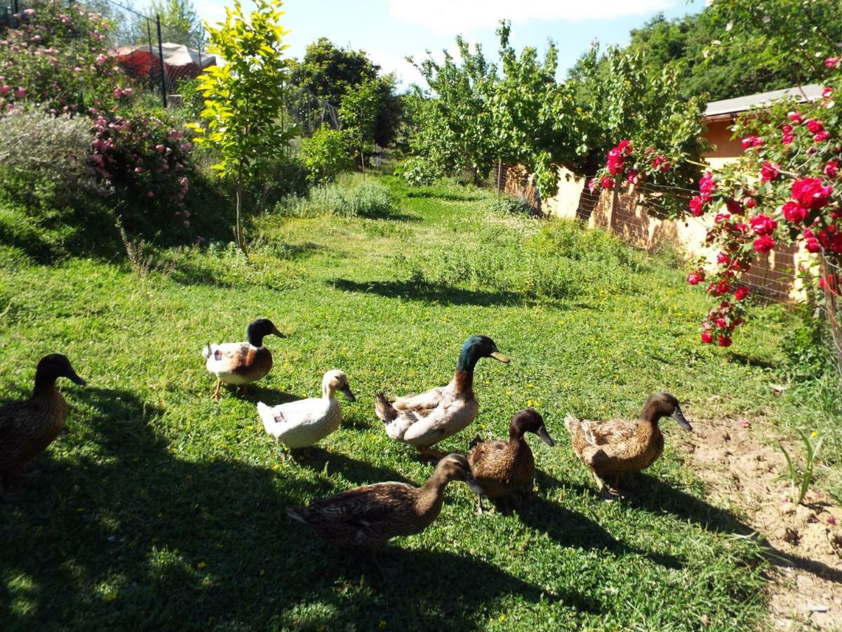 Agriturismo Frallarenza Ficulle Buitenkant foto