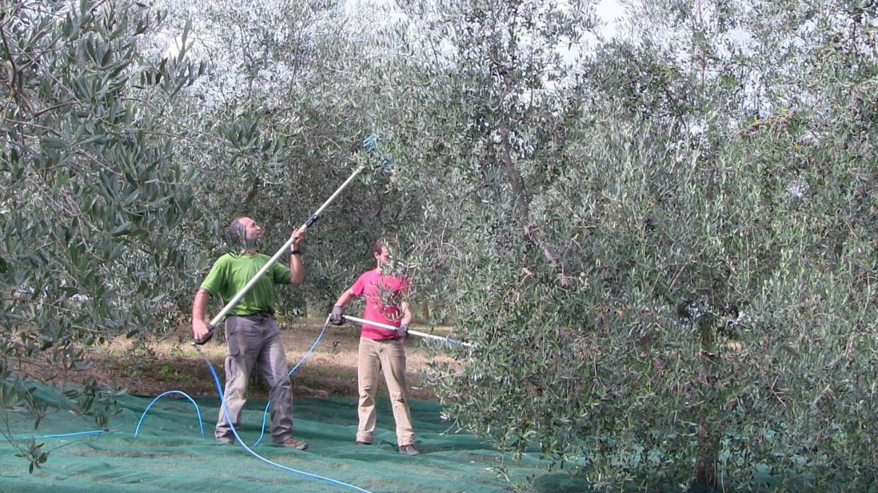 Agriturismo Frallarenza Ficulle Buitenkant foto