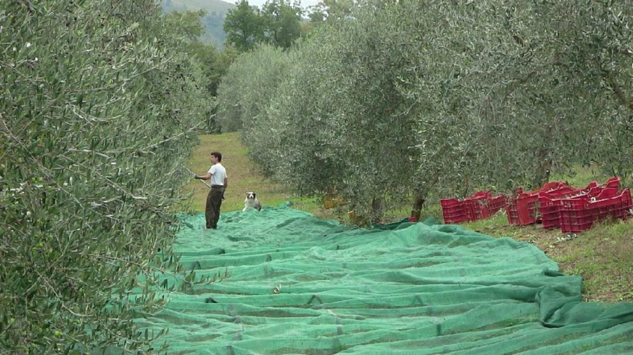 Agriturismo Frallarenza Ficulle Buitenkant foto