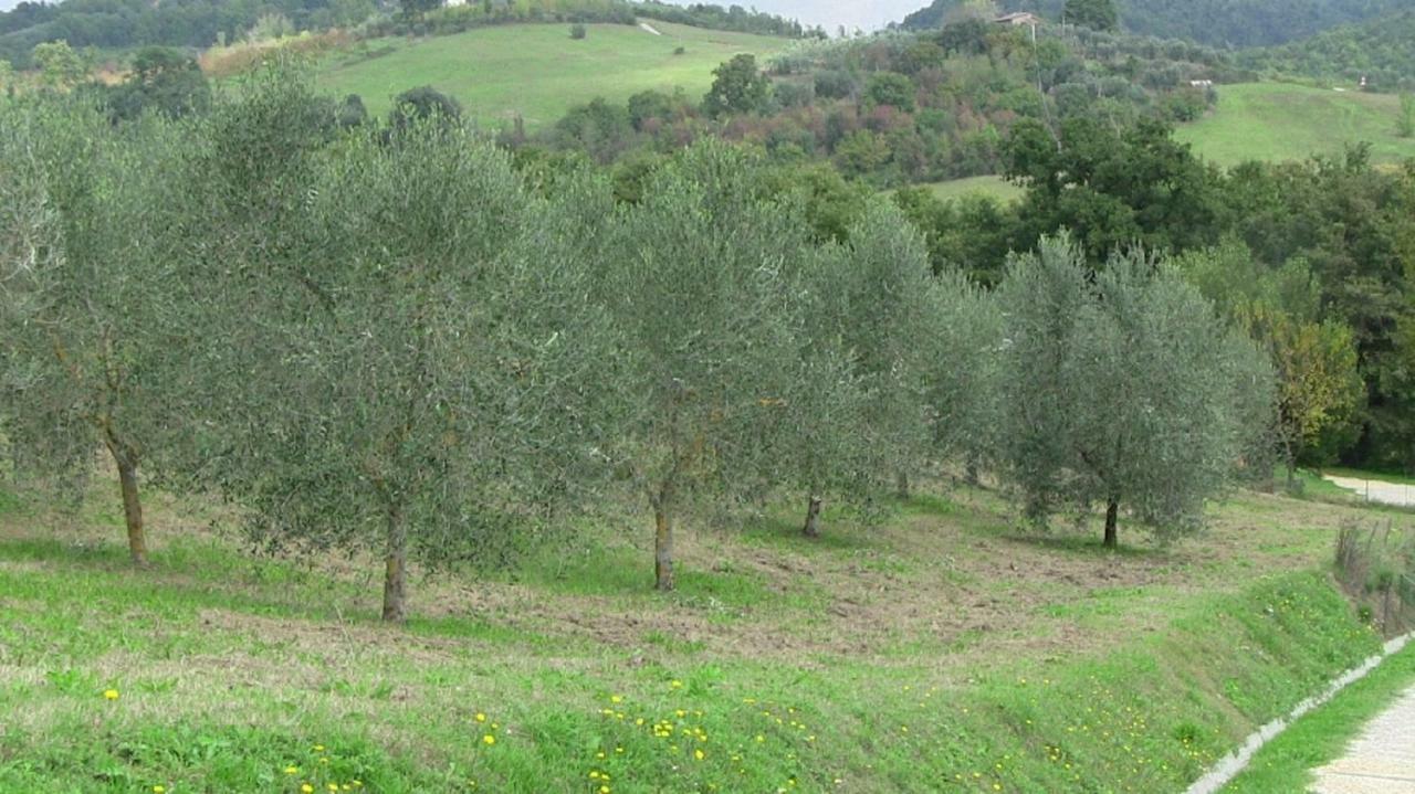 Agriturismo Frallarenza Ficulle Buitenkant foto