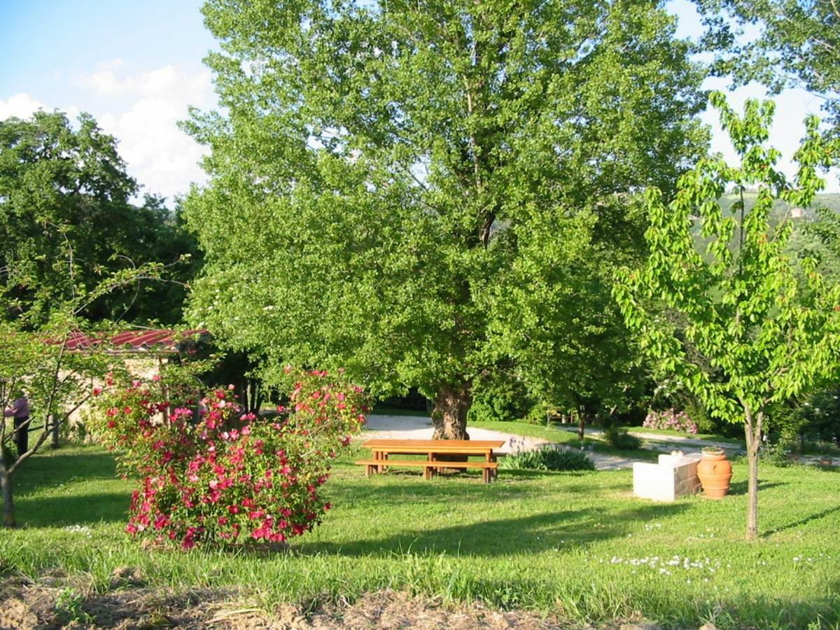Agriturismo Frallarenza Ficulle Buitenkant foto