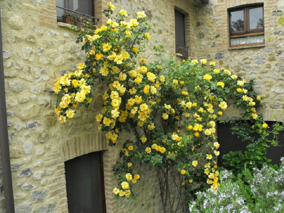 Agriturismo Frallarenza Ficulle Buitenkant foto