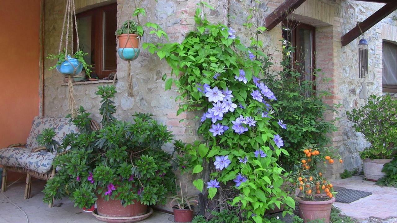 Agriturismo Frallarenza Ficulle Buitenkant foto